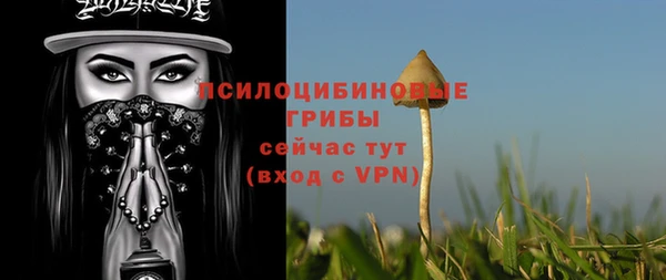 соль курить ск Алзамай