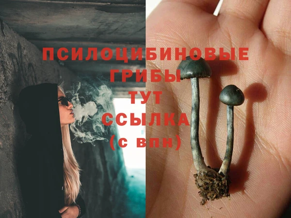 шишки Переславль-Залесский