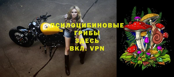 сатива Пересвет