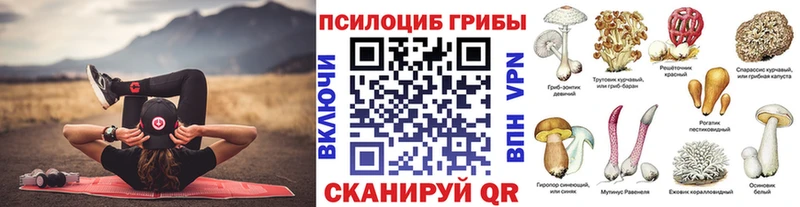 Галлюциногенные грибы Psilocybe  Мещовск 